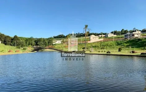 Lote/Terreno à venda, 313m² no Colônia Dona Luíza, Ponta Grossa