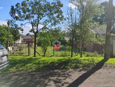 Lote/Terreno à venda, 558m² no Monte Verde, Santa Cruz do Sul