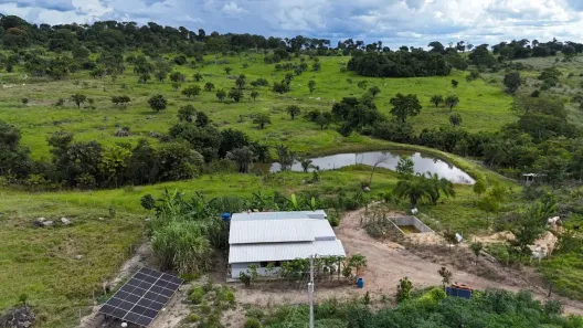Fazenda/Sítio com 3 Quartos à venda, 242000m² no , Goiás