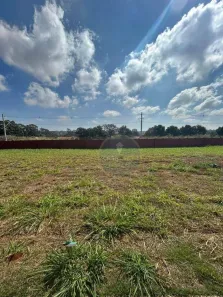 Lote/Terreno à venda, 262m² no Conjunto Manoel Mendes, Uberaba