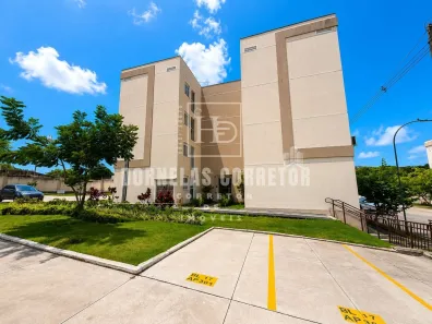 Apartamento com 2 Quartos à venda, 55m² no Fragoso, Paulista