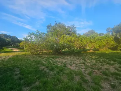 Lote/Terreno à venda, 2000m² no Água Branca (Bacaxá), Saquarema