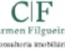 Miniatura da foto de Carmen Filgueiras
