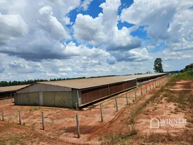 Fazenda/Sítio à venda, 172400m² no Industrial, Nova Esperança