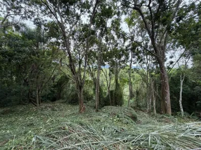 Lote/Terreno à venda, 4800m² no Canasvieiras, Florianópolis