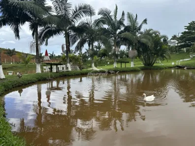 com 3 Quartos para alugar, 9700m² no , Balneário Piçarras