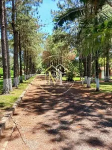 Fazenda/Sítio com 3 Quartos à venda, 10m² no Itapecerica, Salto