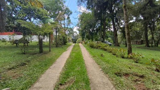 Fazenda/Sítio à venda, 61122m² no Vila Rivabem, Campo Largo