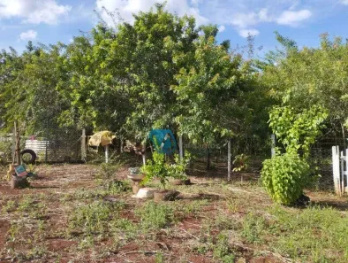 Lote/Terreno à venda, 1000m² no Conjunto Habitacional Jamile Dequech, Londrina