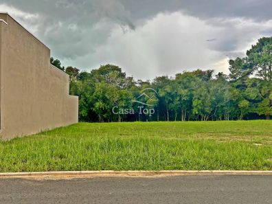 Lote/Terreno à venda, 246m² no Jardim Carvalho, Ponta Grossa