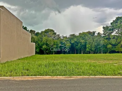 Lote/Terreno à venda, 246m² no Jardim Carvalho, Ponta Grossa