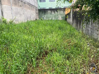 Lote/Terreno à venda, 259m² no Vila Matilde, São Paulo