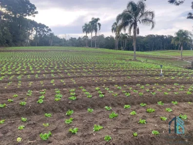 Lote/Terreno à venda, 21000m² no Umbará, Curitiba