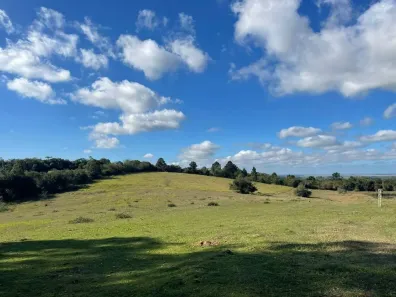 Fazenda/Sítio com 5 Quartos à venda, 120m² no Capão da Porteira II (Capão da Porteira), Viamão