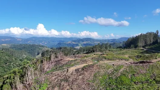 Fazenda/Sítio com 2 Quartos à venda, 623100m² no , Presidente Nereu