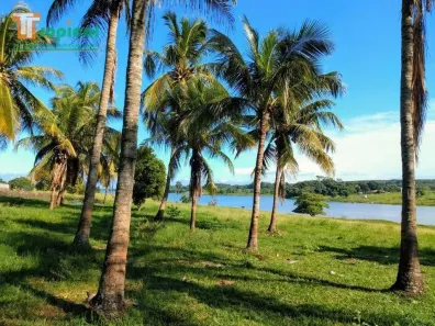 Fazenda/Sítio com 3 Quartos à venda, 150m² no Santa Fe Do Sul, Santa Fé do Sul