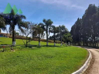Fazenda/Sítio com 7 Quartos à venda, 300m² no Campo Largo da Roseira, São José dos Pinhais