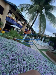 Apartamento com 1 Quarto para alugar, 60m² no Stella Maris, Salvador