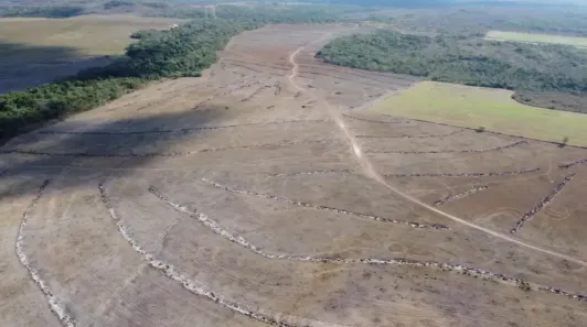Fazenda/Sítio à venda, 500m² no , Pium