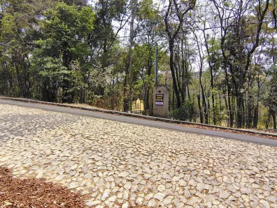 Fazenda/Sítio com 4 Quartos à venda, 10000m² no , Esmeraldas
