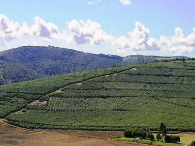Fazenda/Sítio com 10 Quartos à venda, 970m² no Planalto, Capelinha