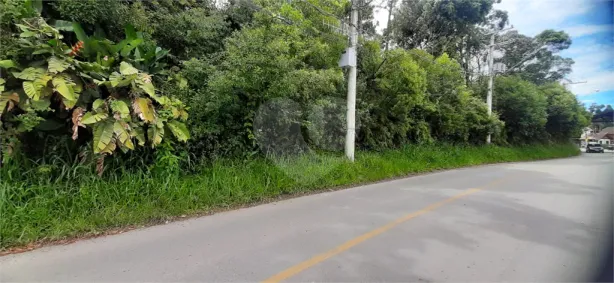 Fazenda/Sítio à venda, 96000m² no Juqueri Mirim, Mairiporã