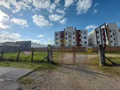 Lote/Terreno à venda, 564m² no Vargem Grande, Pinhais