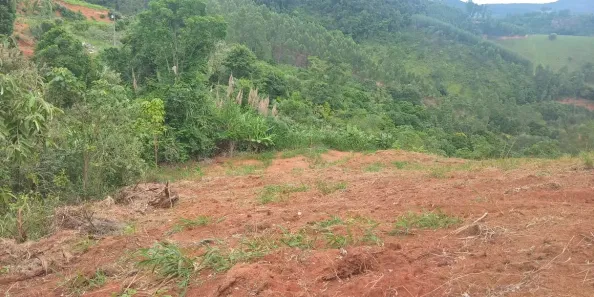 Lote/Terreno à venda, 30000m² no Timbuí, Fundão
