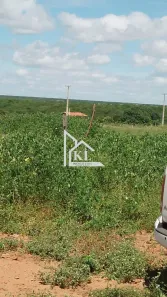Fazenda/Sítio com 5 Quartos à venda, 590m² no , Afonso Bezerra