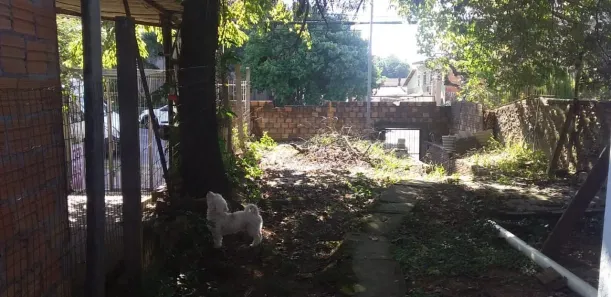 Lote/Terreno à venda, 220m² no Tristeza, Porto Alegre