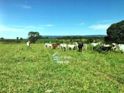 Fazenda/Sítio com 3 Quartos à venda, 629200m² no , Santa Bárbara de Goiás