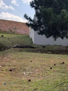Lote/Terreno à venda, 420m² no Tamboré, Barueri