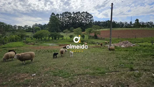 Fazenda/Sítio com 3 Quartos à venda, 500m² no Nossa Senhora de Lourdes, Santa Maria