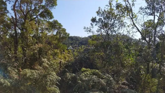Lote/Terreno à venda, 2301m² no , Monteiro Lobato