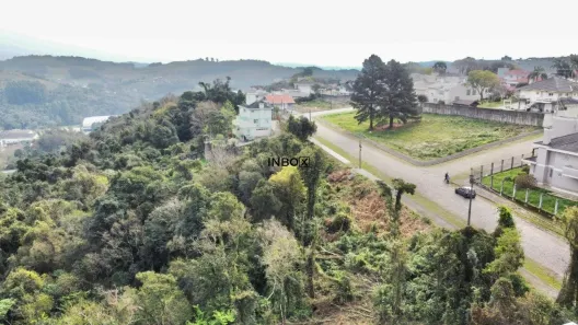 Lote/Terreno à venda, 4351m² no Santa Rita, Bento Gonçalves