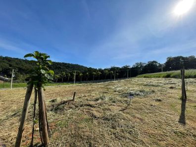 Lote/Terreno à venda, 125m² no Jardim Atalaia, Cotia