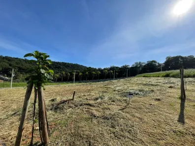 Lote/Terreno à venda, 125m² no Jardim Atalaia, Cotia