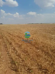Fazenda/Sítio com 3 Quartos à venda, 200m² no , Santa Cruz de Goiás