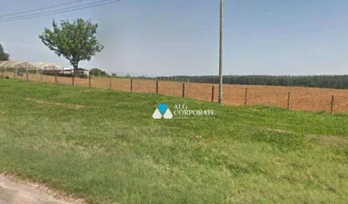 Lote/Terreno à venda, 20000m² no Centro, Monte Mor