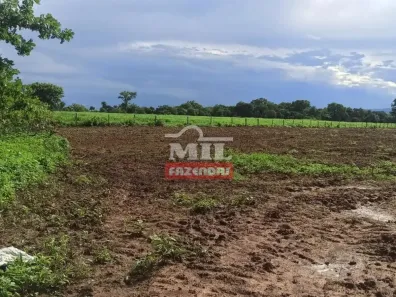 Fazenda/Sítio à venda, 1m² no Centro, São João D'Aliança