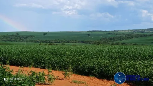 Lote/Terreno à venda, 433m² no Setor Central, Doverlândia