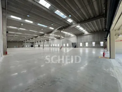 Galpão/Depósito/Armazém para alugar, 5019m² no Tamboré, Barueri