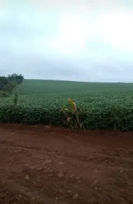 Fazenda/Sítio à venda, 118590m² no Área Rural de Itapetininga, Itapetininga