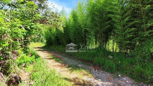 Lote/Terreno à venda, 3302m² no Vila Darcy Penteado (Mailasqui), São Roque