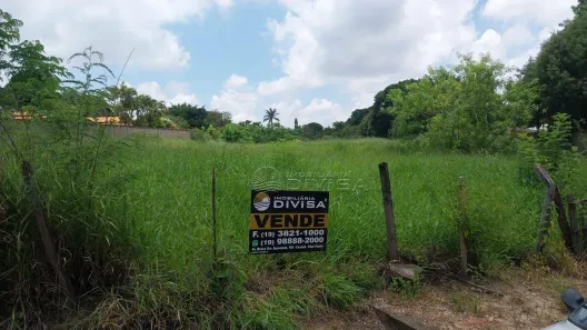 Fazenda/Sítio à venda, 5000m² no , Elias Fausto