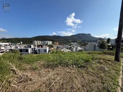 Lote/Terreno à venda, 439m² no Pedra Branca, Palhoça