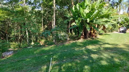 Fazenda/Sítio à venda, 24200m² no São Caetano, Caxias do Sul