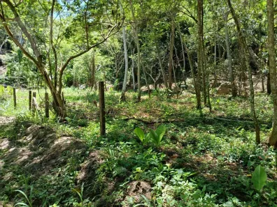 Lote/Terreno à venda, 525m² no Engenho do Mato, Niterói