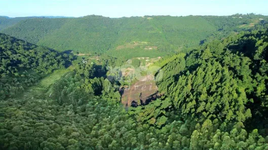 Lote/Terreno à venda, 5000m² no , Nova Petrópolis