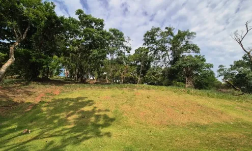 Lote/Terreno com 1 Quarto à venda, 10100m² no Residencial Aldeia do Vale, Goiânia